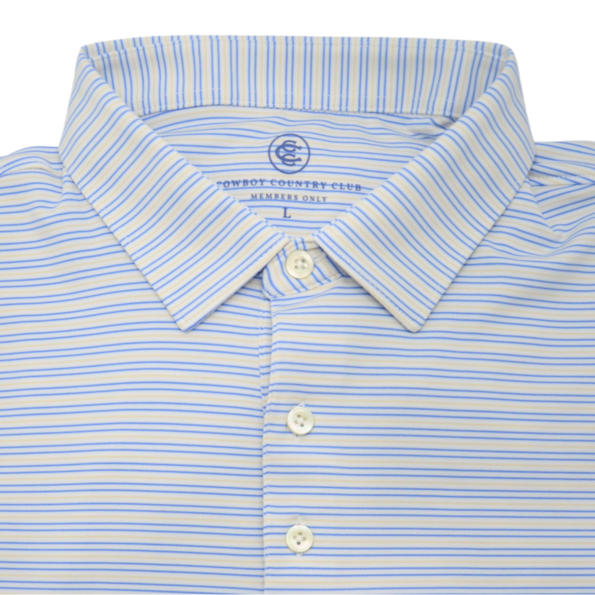 Thin Stripe Polo