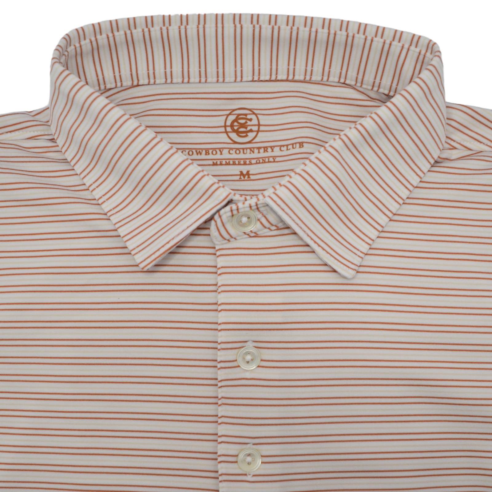 Thin Stripe Polo